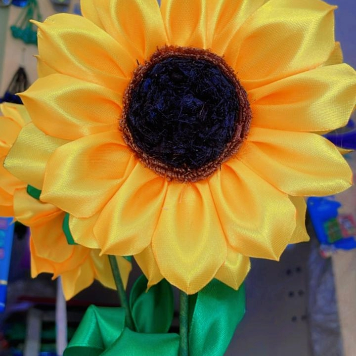 Girasol - Liston